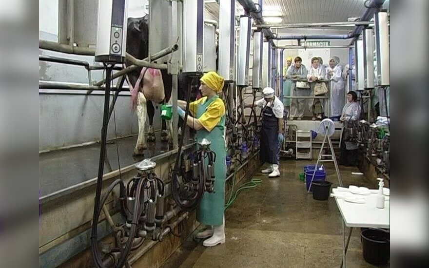Belarussians and Ukrainians welcome in Lithuanian farms