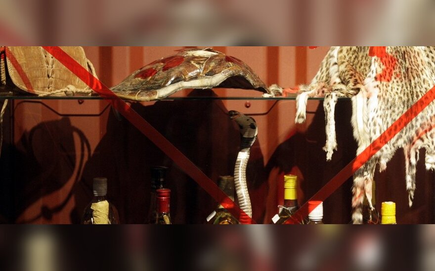 skorpionų prekybos sistema