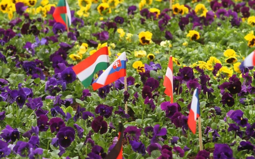 Central European countries' flags in Kaunas