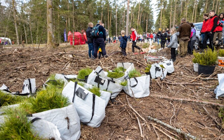 Unikali iniciatyva – bendruomenės eidamos užaugino 35 tūkst. tikrų medžių