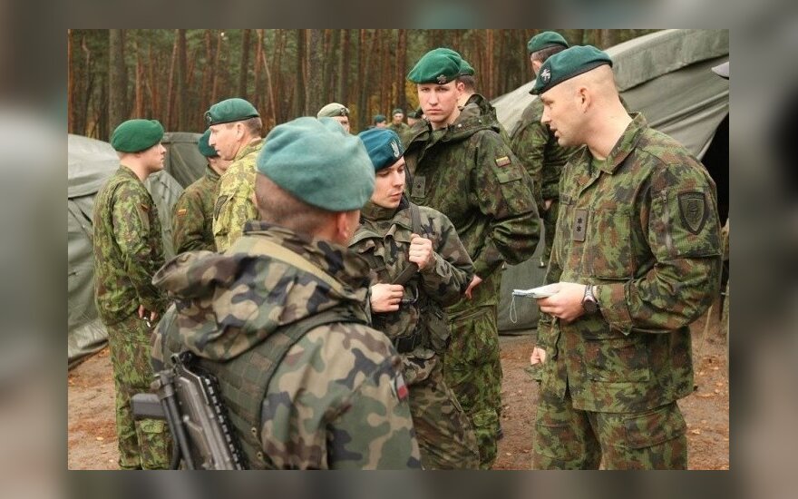 Lithuania to increase number of professional troops