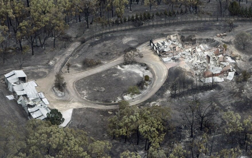 Gaisrai Australijoje tikriausiai pražudė tūkstančius koalų