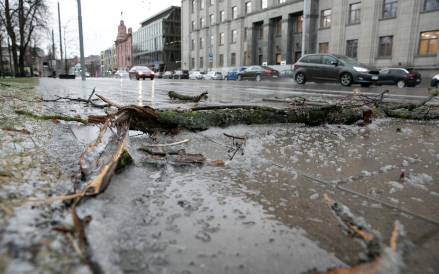 „Lietuvos draudimas“: dėl siautėjusios audros – nuostoliai jau 120 tūkst. eurų, jie dar dvigubės ar net trigubės