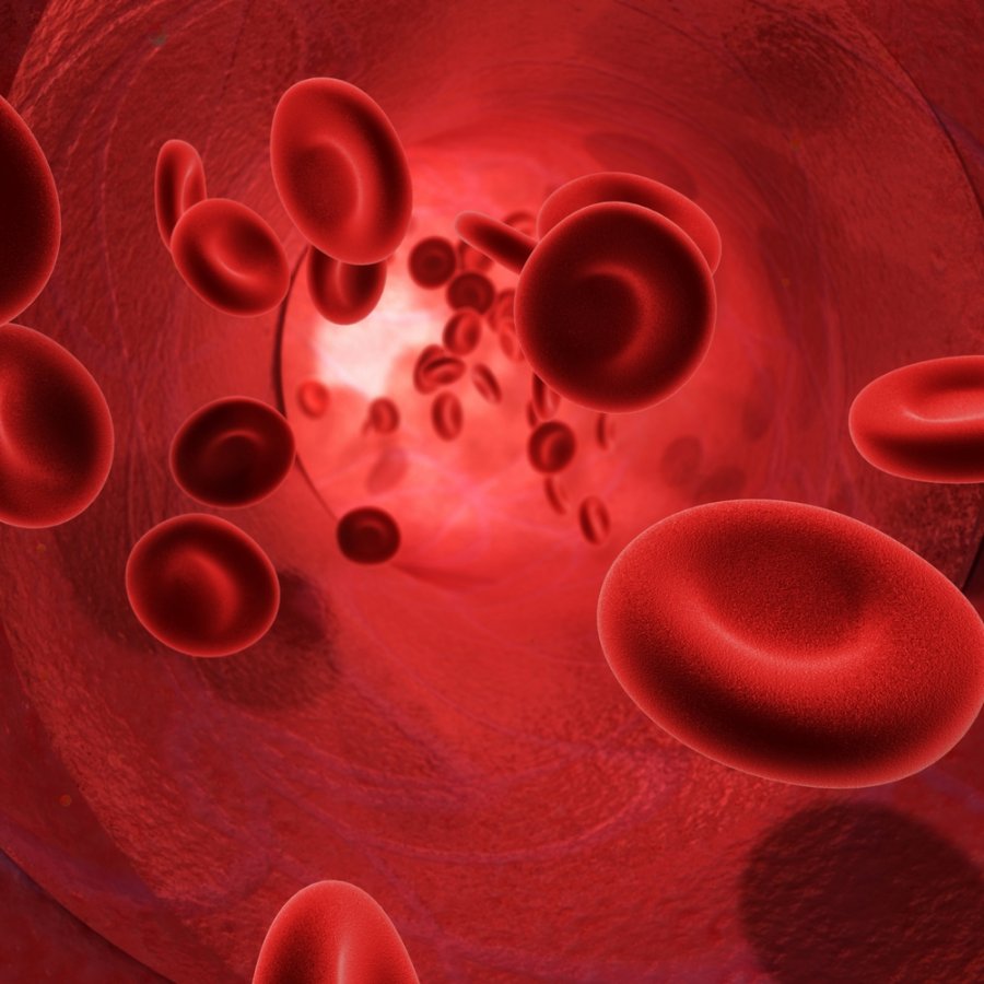 Padidėjęs kraujo spaudimas: ką būtina žinoti ir kaip kontroliuoti šią ligą?