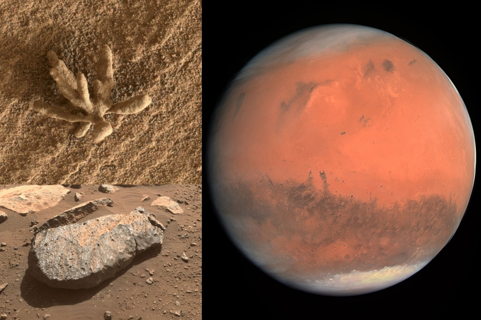 Forskere som leter etter utenomjordisk liv rapporterer en oppsiktsvekkende oppdagelse: Livet på Mars må ha dannet seg på samme måte som det gjorde på jorden
