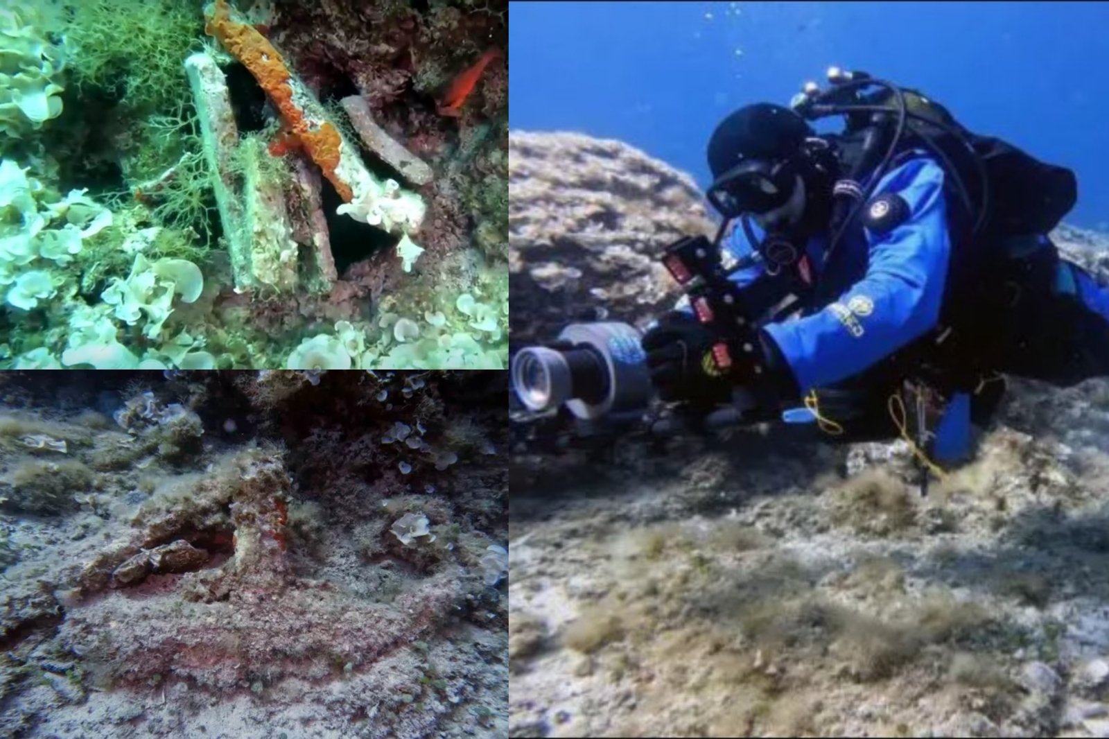 Un subacqueo che è sceso nelle profondità del mare al largo delle coste italiane ha trovato un oggetto straordinario: 2000 anni fa.  anni in una nave affondata – beni di lusso