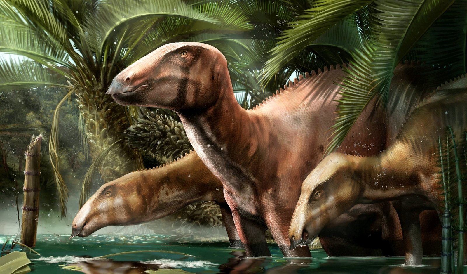 Ossa di dinosauro giganti scoperte in Italia riscriveranno la storia dell’intera regione: questo luogo non ha eguali al mondo