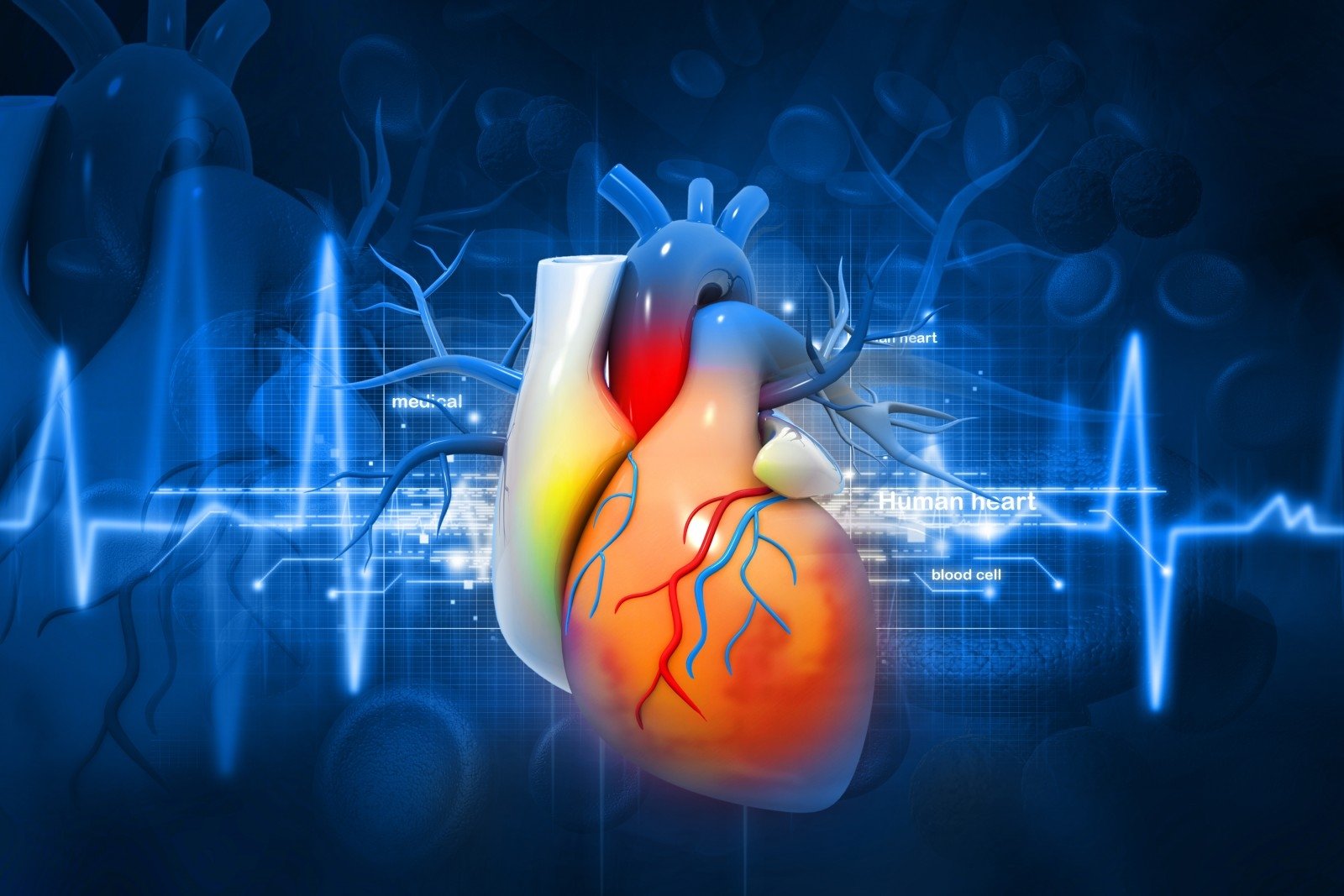 2 daktarai teigia: tikroji širdies ligų priežastis – ne cholesterolis - DELFI Sveikata