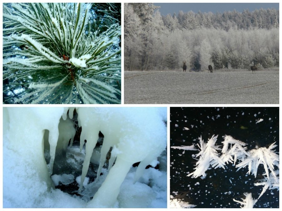 Kerinti gamta gražiausi žiemiški vaizdai Grynas.lt